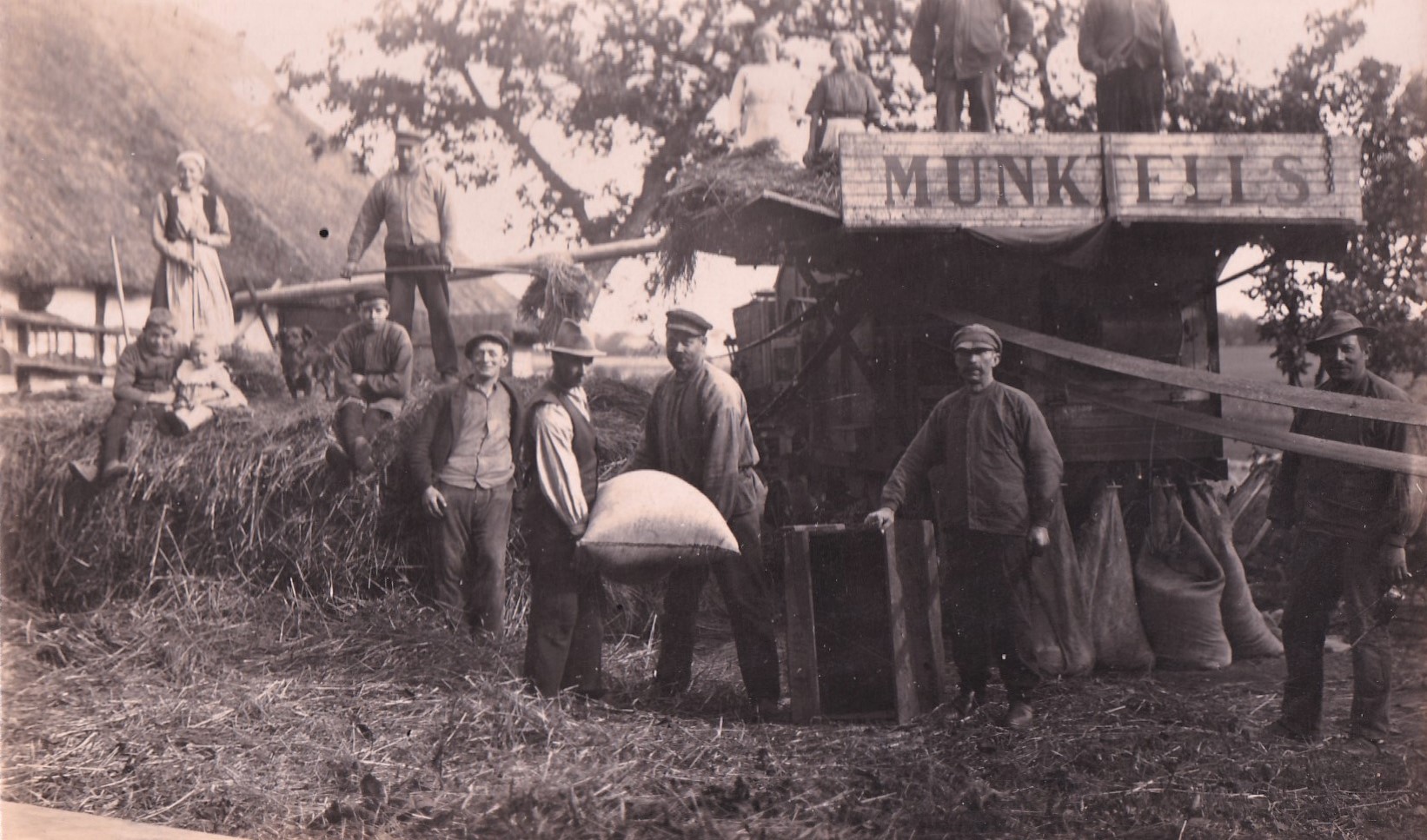 Tröskning hos Bernhard Månsson 1921