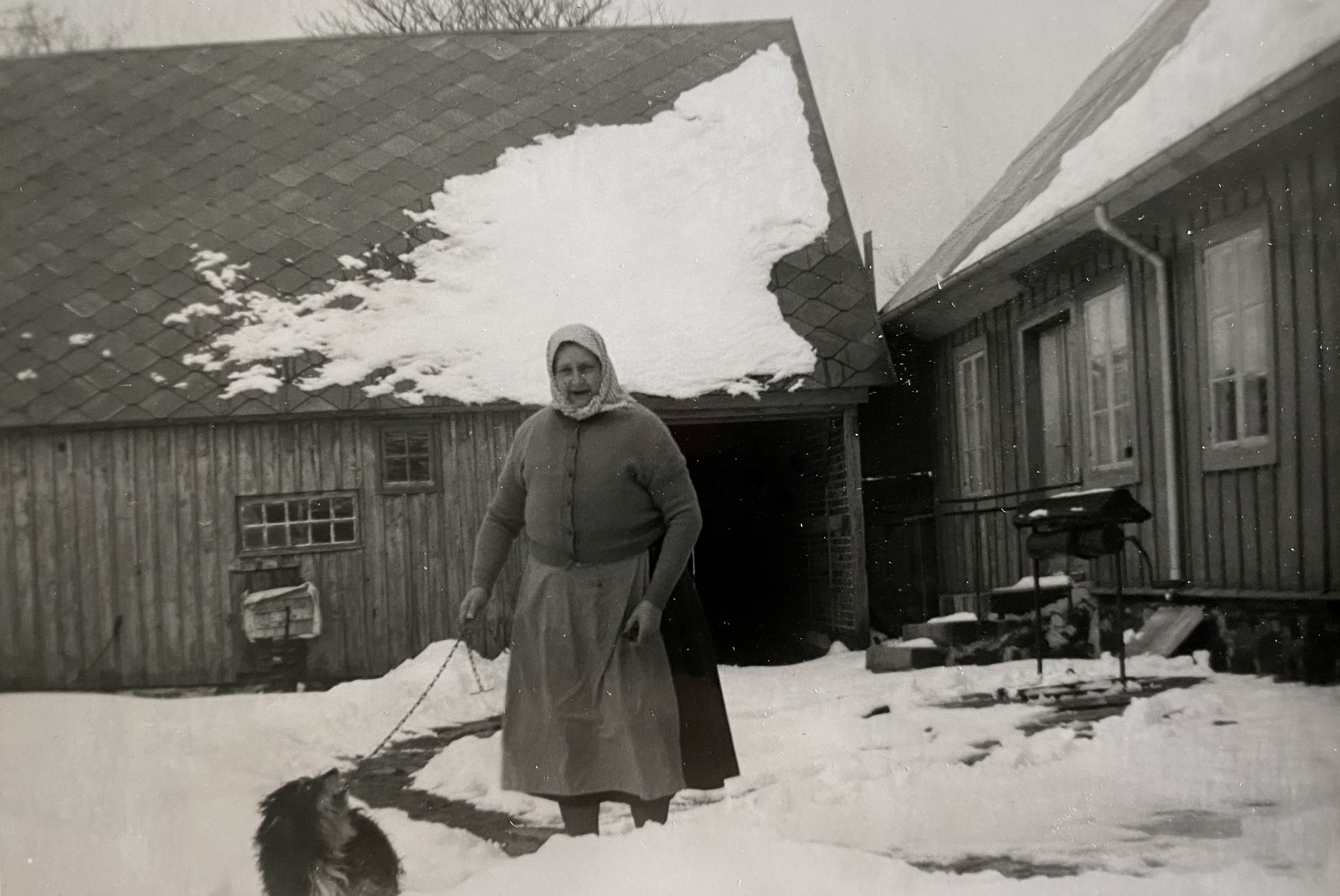 Anna Andersson 1966