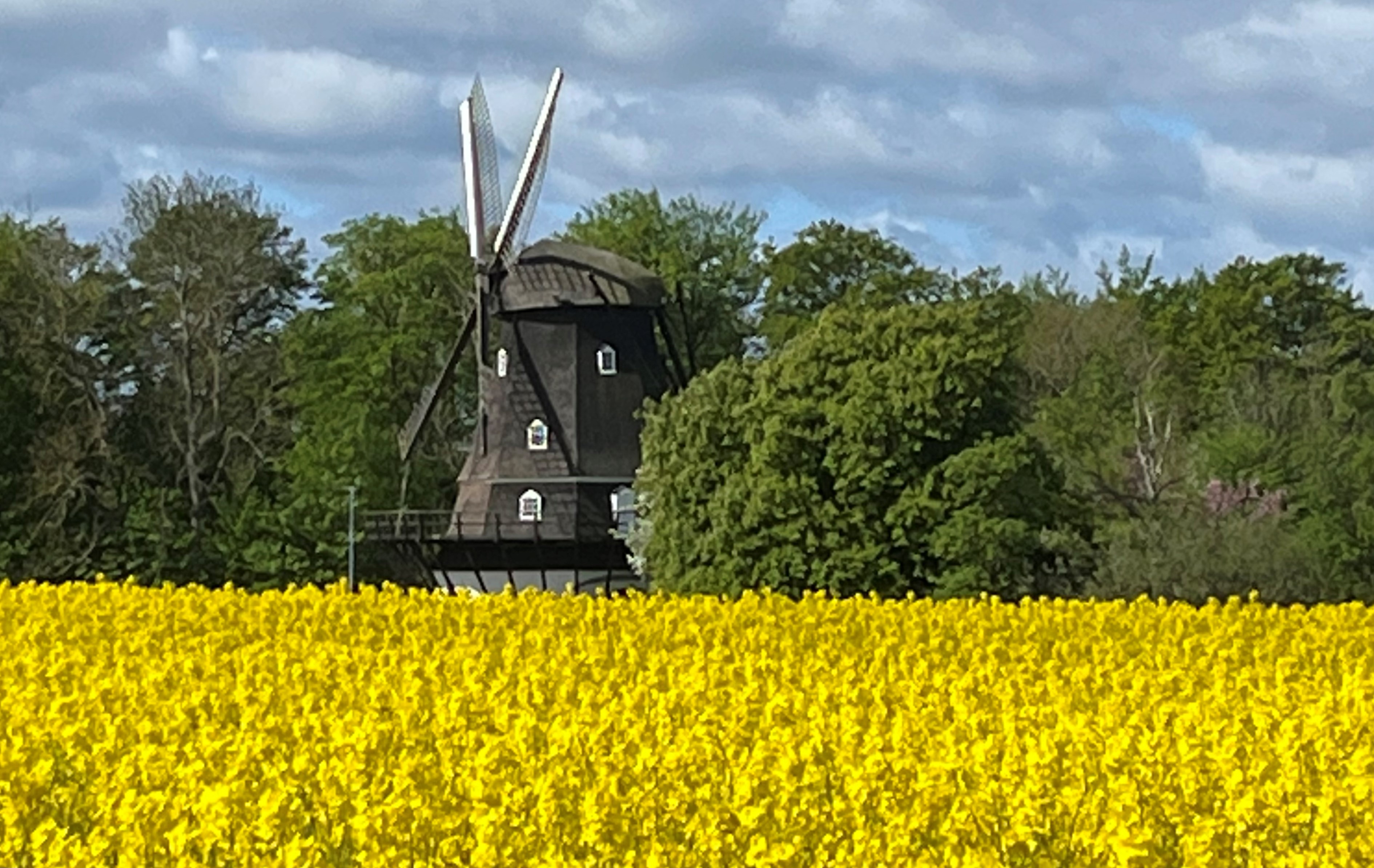 Kulla Gunnarstorps mölla 2022