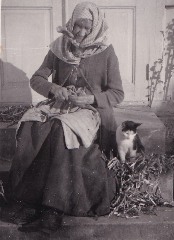 Kvinna och katt