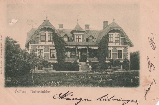 Duvestubbe