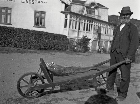 Mölle Hotell Lindström, Fiskargubbe med torsk på kärra