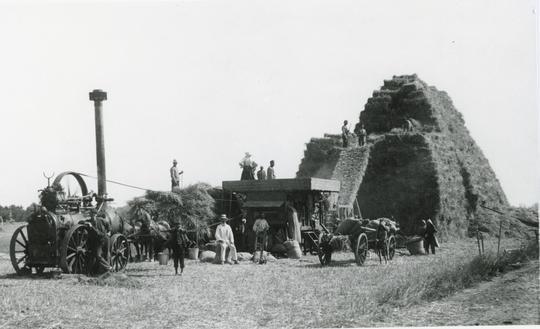 Tröskning på Johanneshus