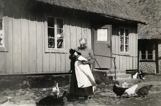 Innergården, höns och katter