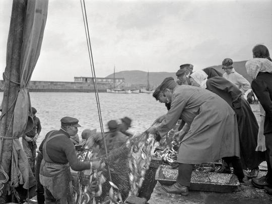 Mölle Fiskare