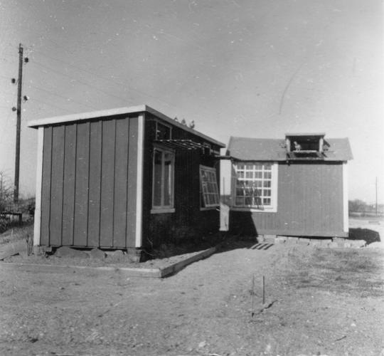 Duvslag 1951