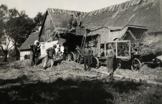 Höbärgning