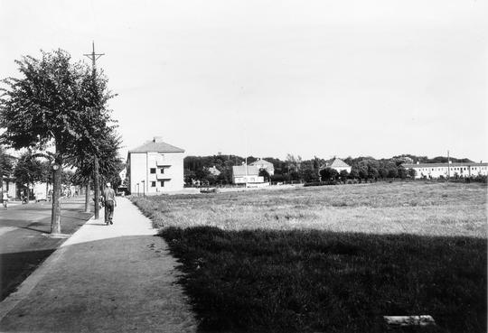 Höganäs Trädallé