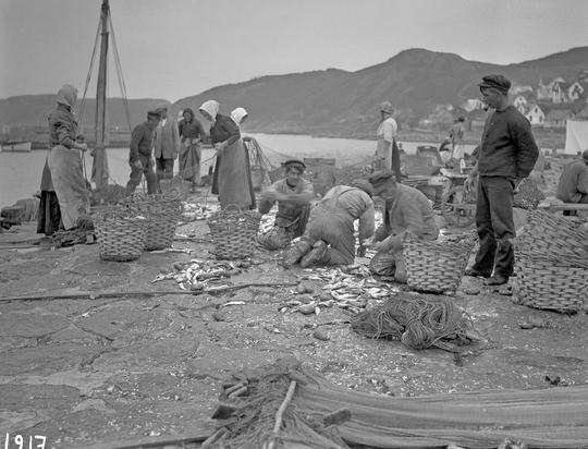 Mölle Fiskare 1917