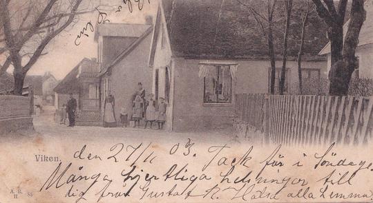 Viken 1903