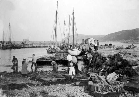 Mölle Hamnen